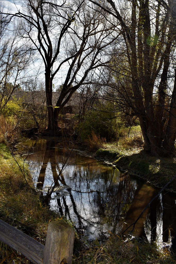 Spring Creek in November by sandlily
