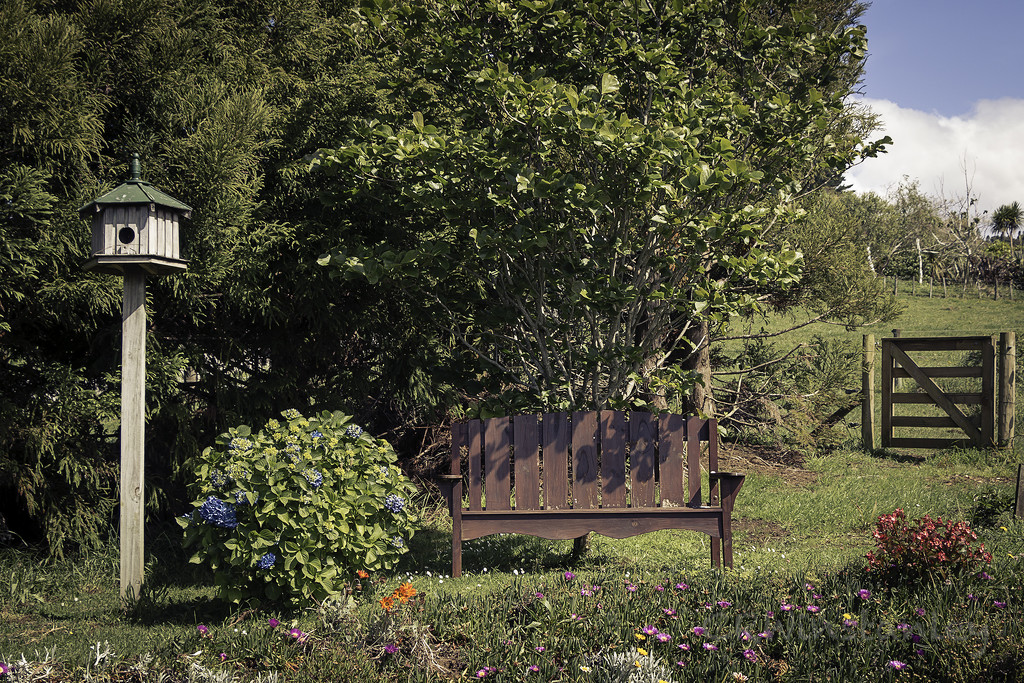 Day 318 Garden Seat by kipper1951