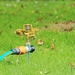Invisible irrigation by kiwinanna