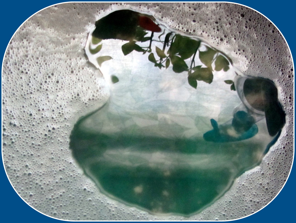 A heart shape appeared in the washing up water. by grace55
