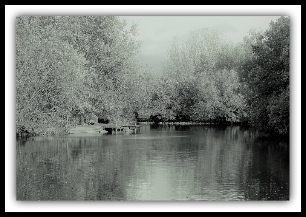 On quiet pond .  by beryl