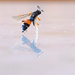 A little wasp I think ... by dkbarnett