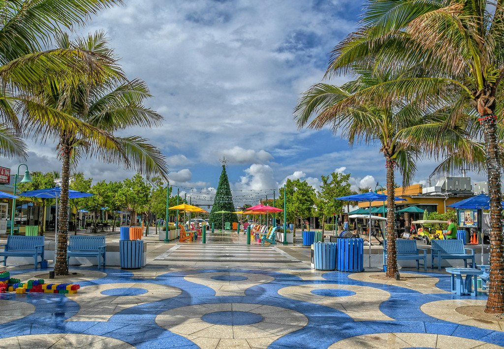 Lauderdale by the Sea by danette