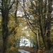 Country lane in autumn by roachling