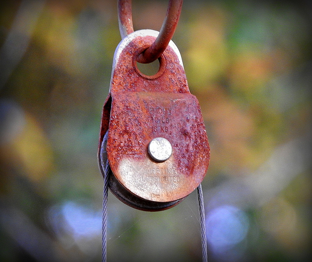 Rusty Pulley  by homeschoolmom