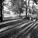 Long Shadows of Autumn by homeschoolmom