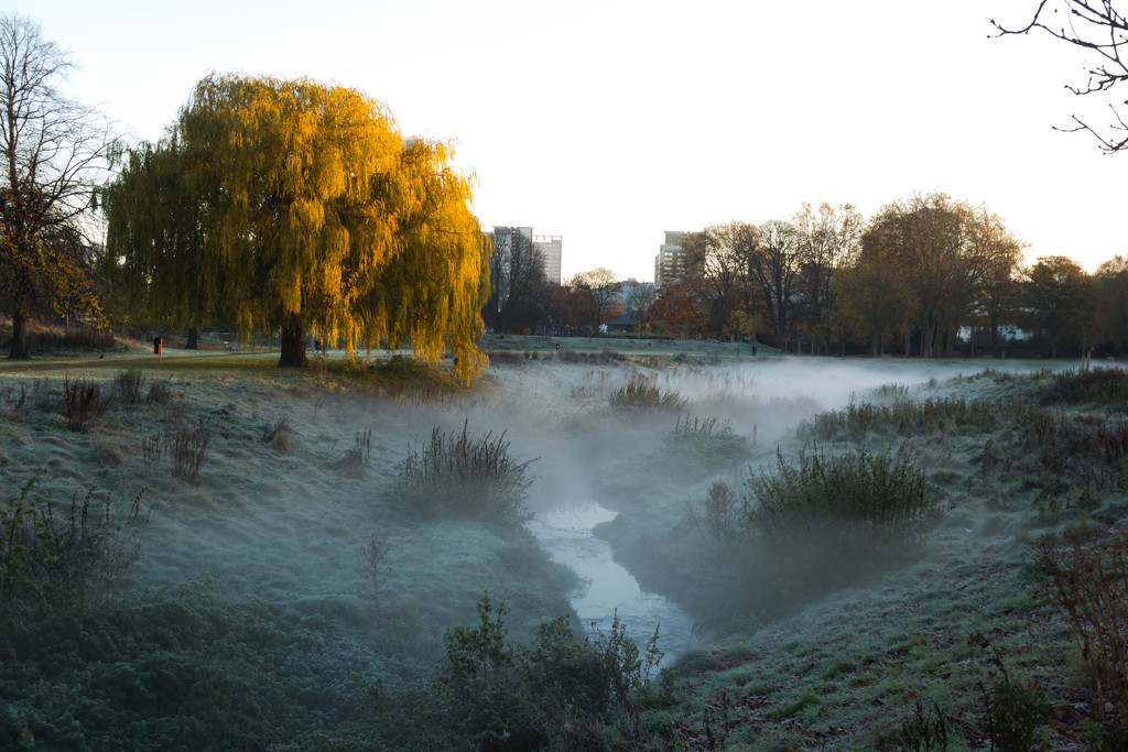 Mist and frost by rumpelstiltskin