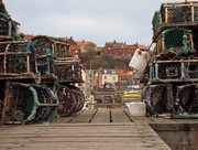 17th Nov 2017 - Whitby lobster pots