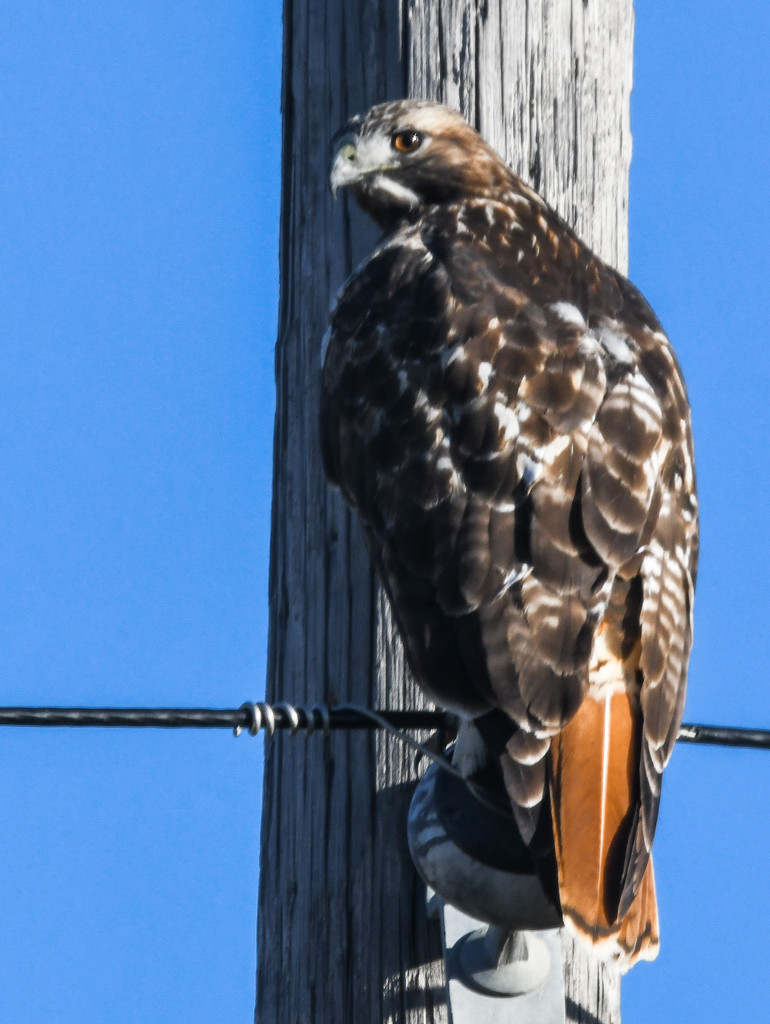 On the Line by kareenking