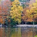 Hartsholme Autumn by carole_sandford