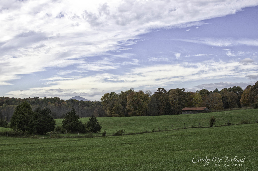 Virginia Countryside by cindymc