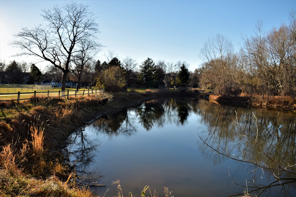 Spring Park Pond by sandlily
