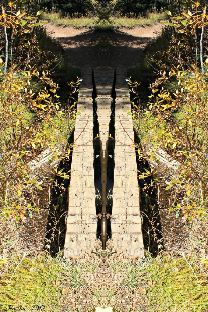 Mirrored Footbridge by harbie