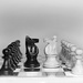 Chess Pieces by salza