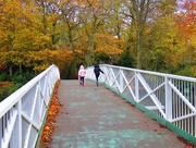 19th Nov 2017 - Who's That Walking on My Bridge !!