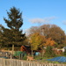 Autumn at the allotment by busylady