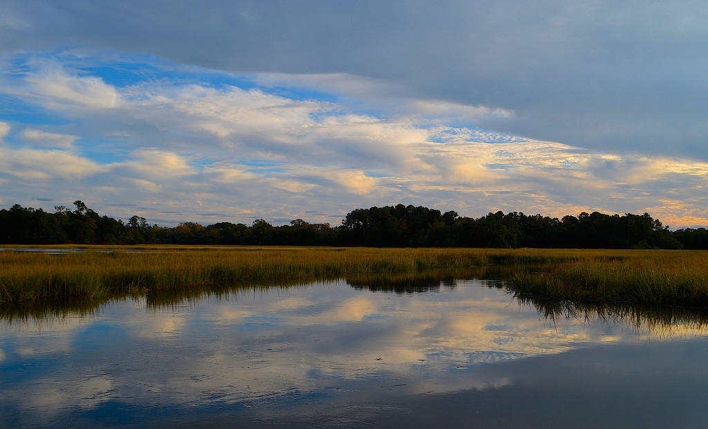 Sky and marsh, Charles Towne Landing State Historic Site, Charleston, SC by congaree