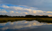 19th Nov 2017 - Sky and marsh, Charles Towne Landing State Historic Site, Charleston, SC