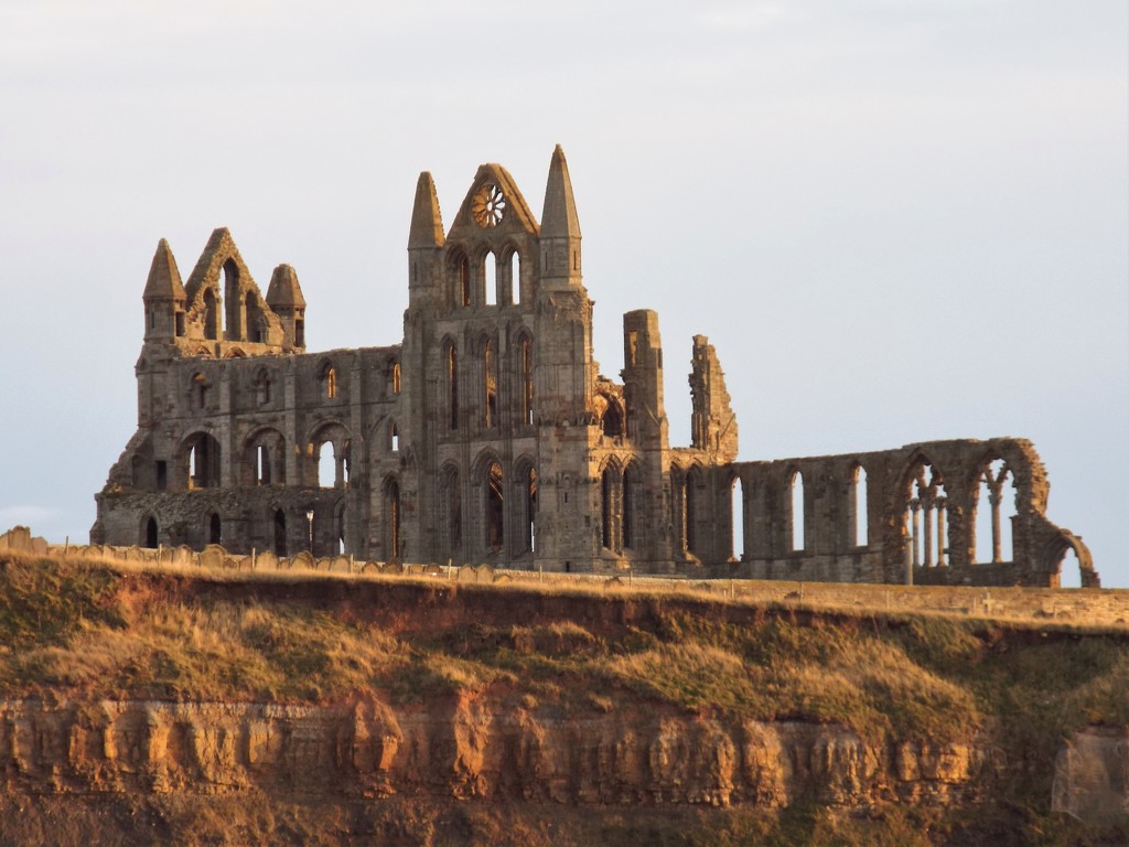 Whitby Abbey by suzanne234
