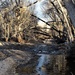 Afternoon Shadows along the Poudre by sandlily