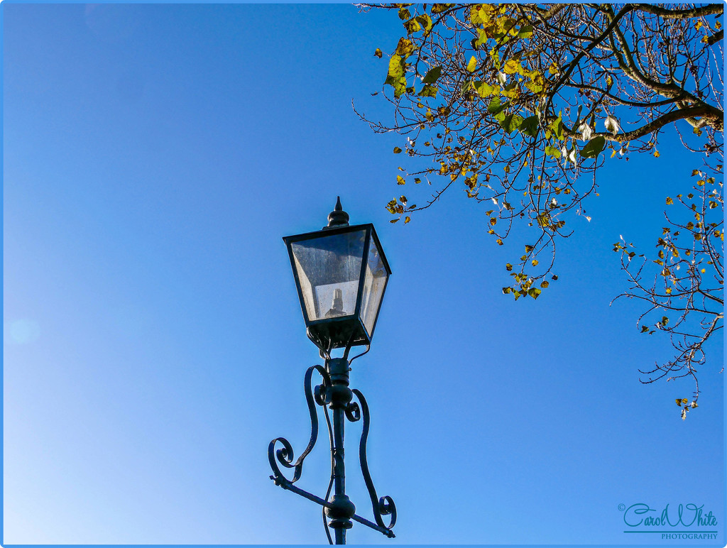 Canalside Lamp by carolmw