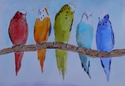 19th Nov 2017 - Watercolor Painting of Parakeets