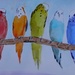 Watercolor Painting of Parakeets by julie
