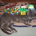 Rubik's Cube Pile Up by julie
