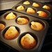Experimental Corn Muffins by yogiw