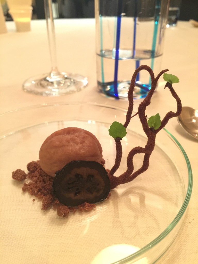dessert by cocobella