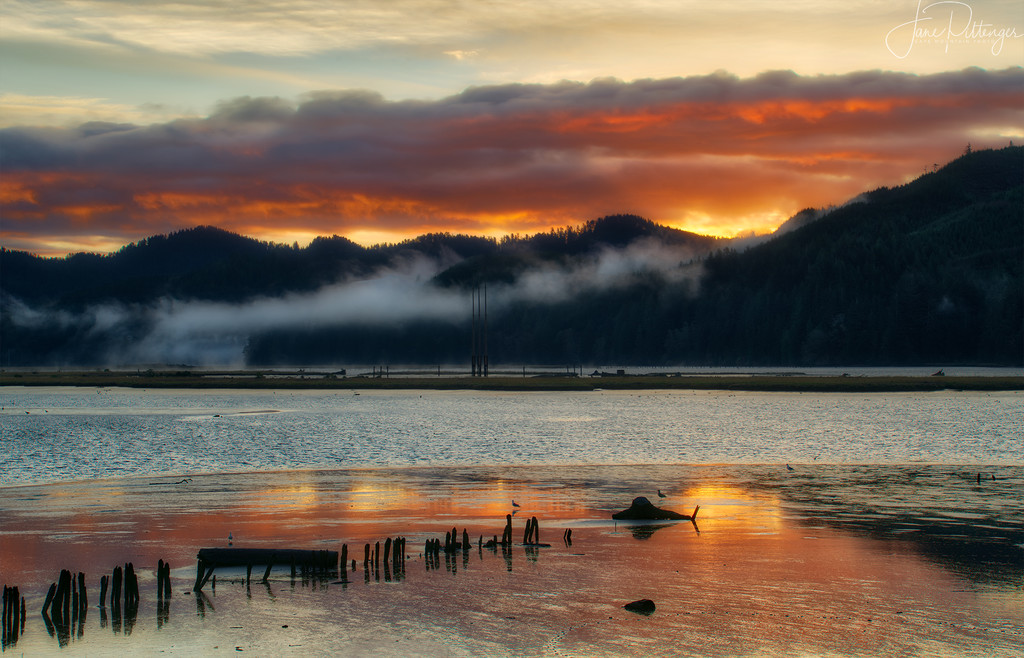 Siuslaw Dawn with Seagulls by jgpittenger