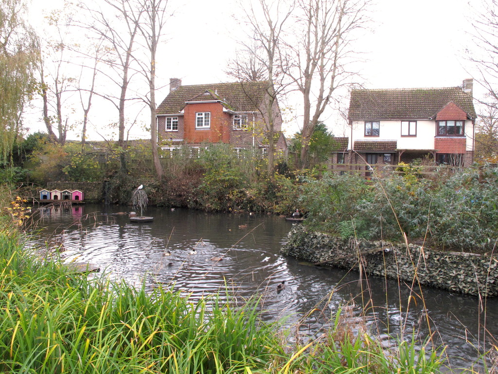 The Pond by davemockford