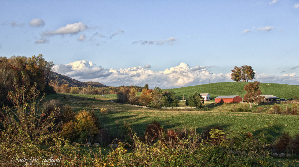 Little Farm on the Hill by cindymc