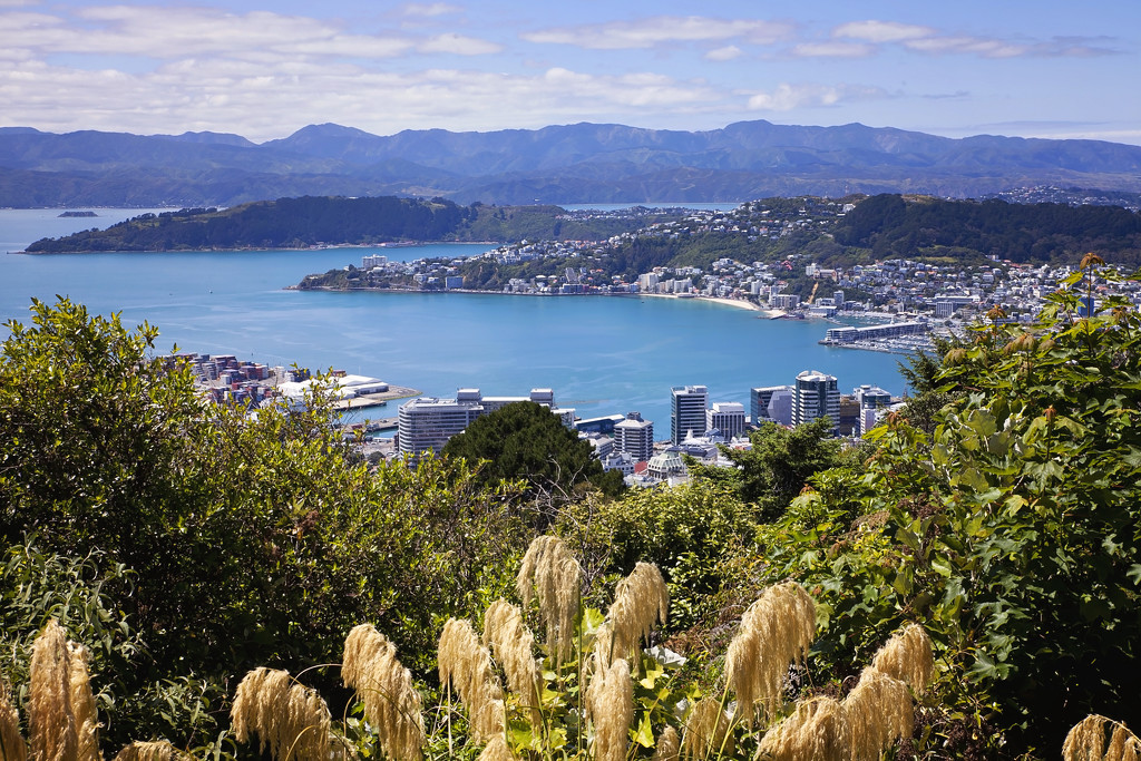 Wellington City from Tinakori Hill by kiwichick