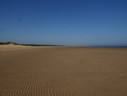 18th Jun 2017 - Holkham beach