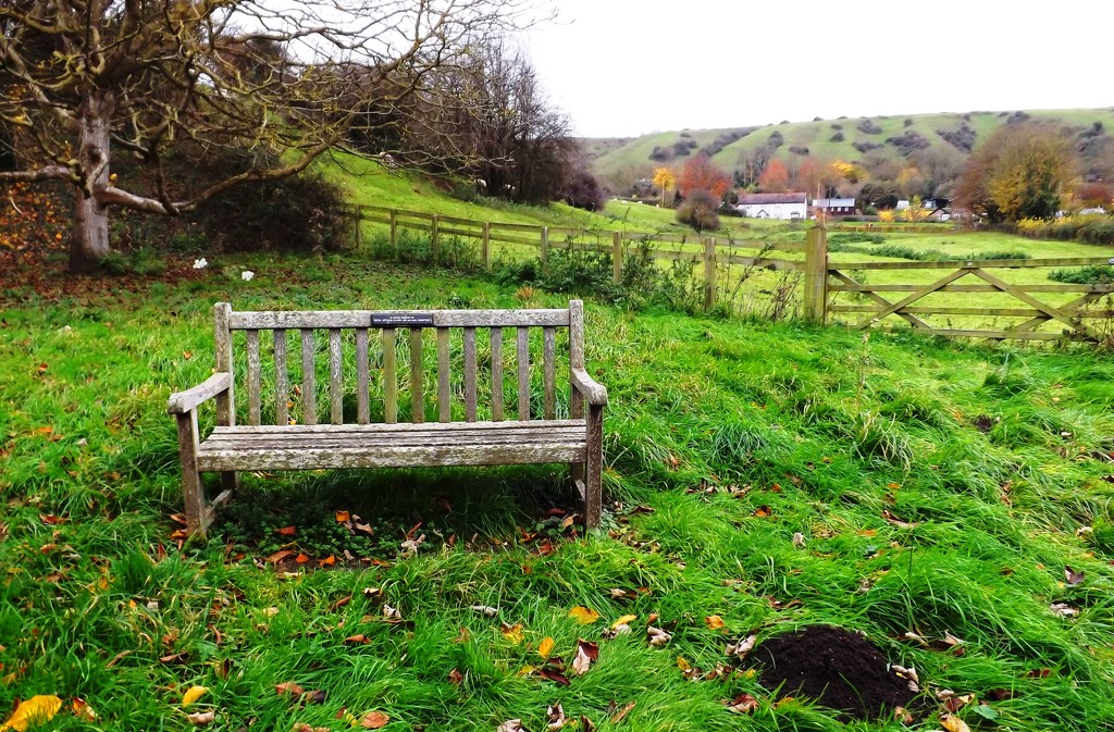 Country Bench by ajisaac