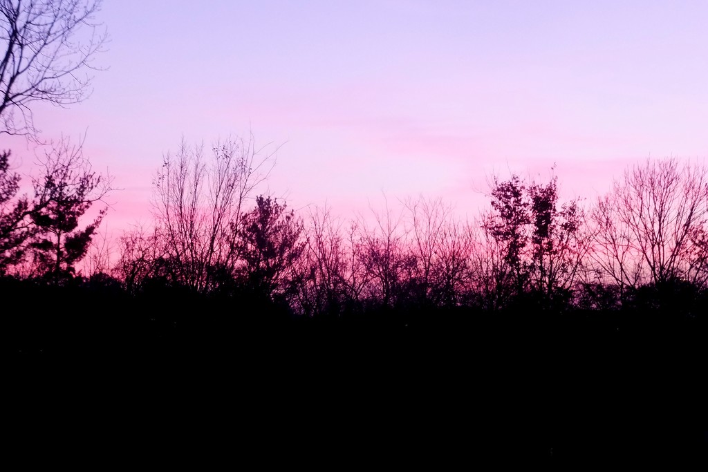 Sunrise by linnypinny