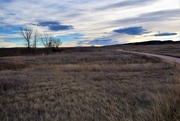 22nd Nov 2017 - Prairie  view along Fossil Creek Trail