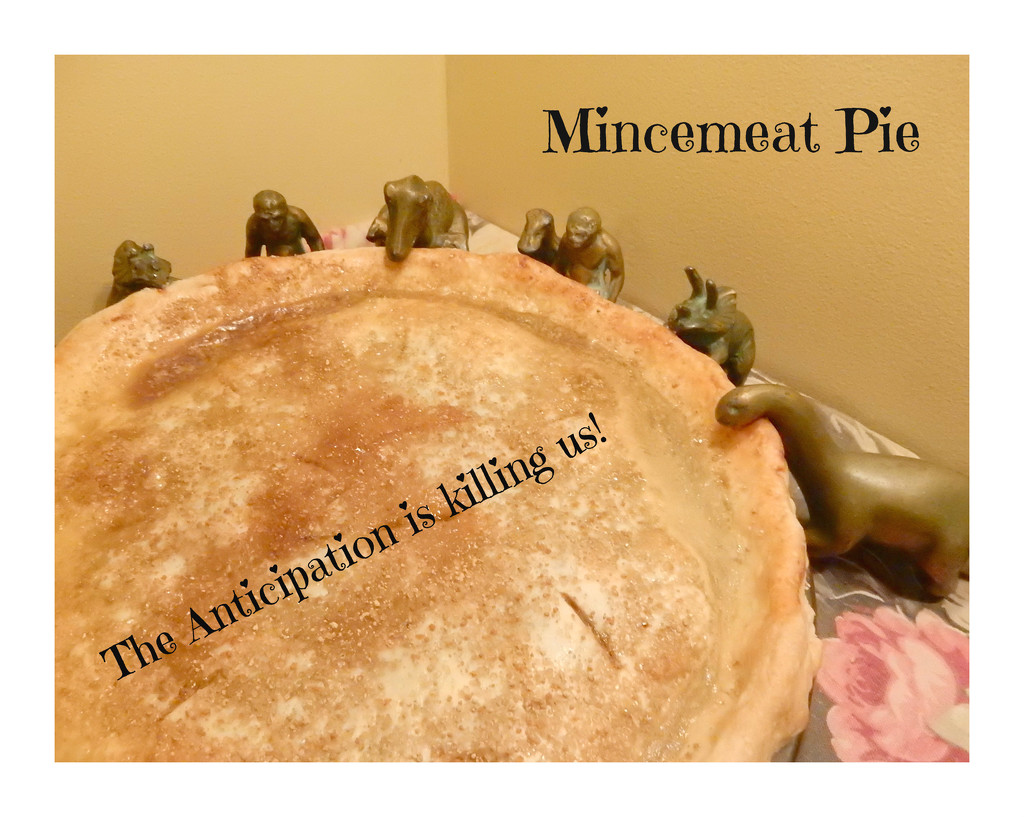 Mincemeat Pie by mcsiegle