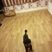 Small dog : big room by plainjaneandnononsense