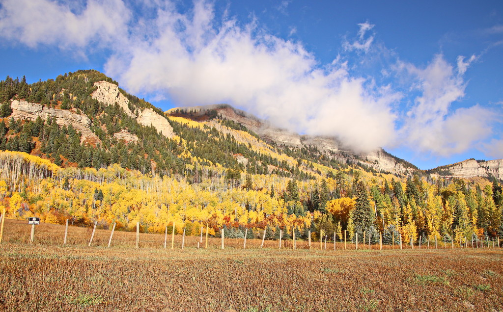 Fall in the Mountains by terryliv