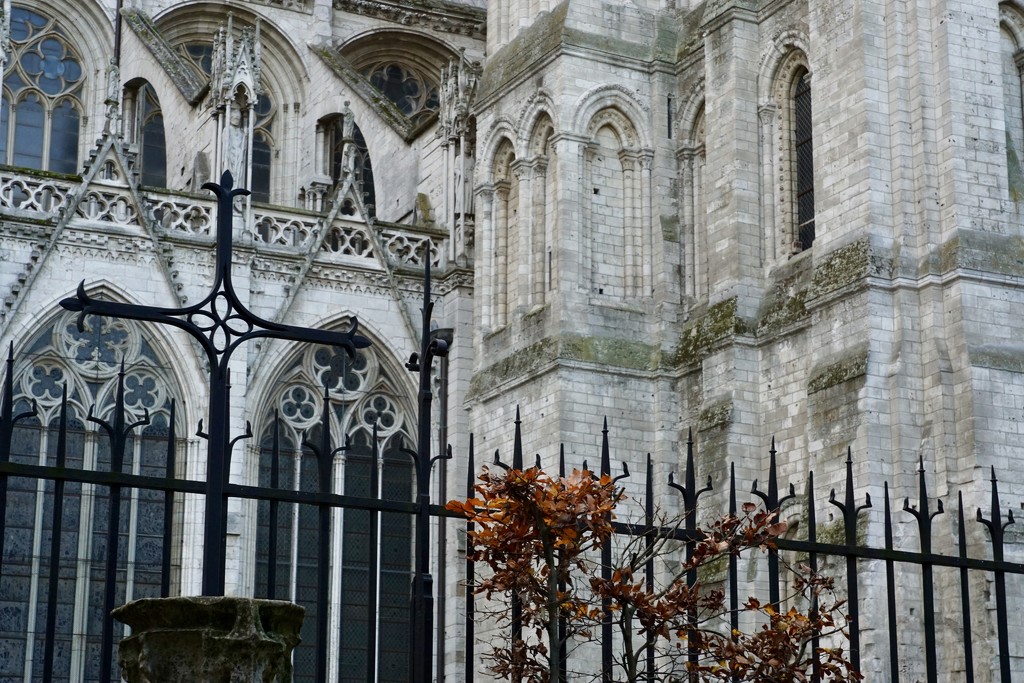 Cathedral Notre-Dame de Rouen by amyk