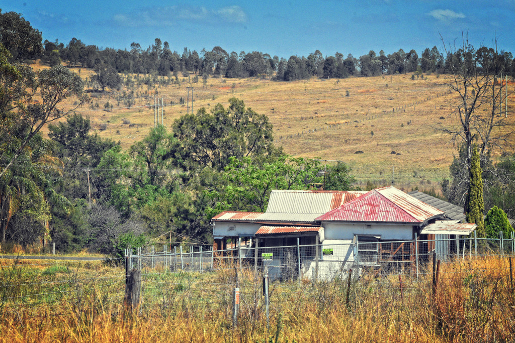 country 2- Singleton to Musswellbrook by annied