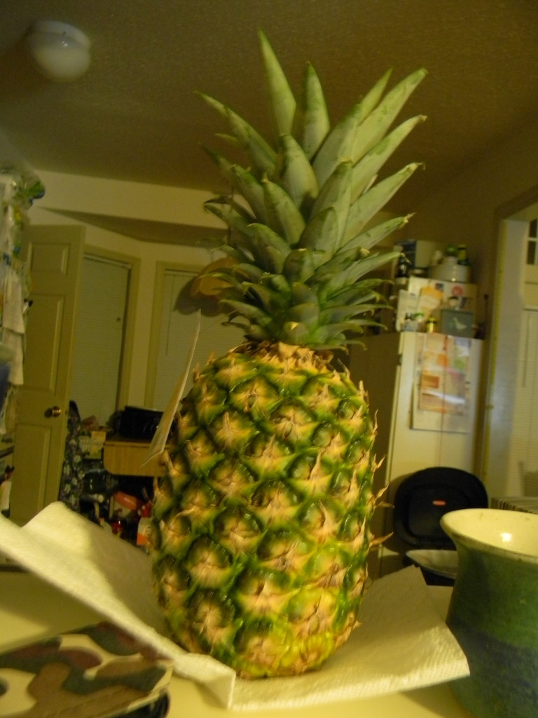 Pineapple on Counter by sfeldphotos