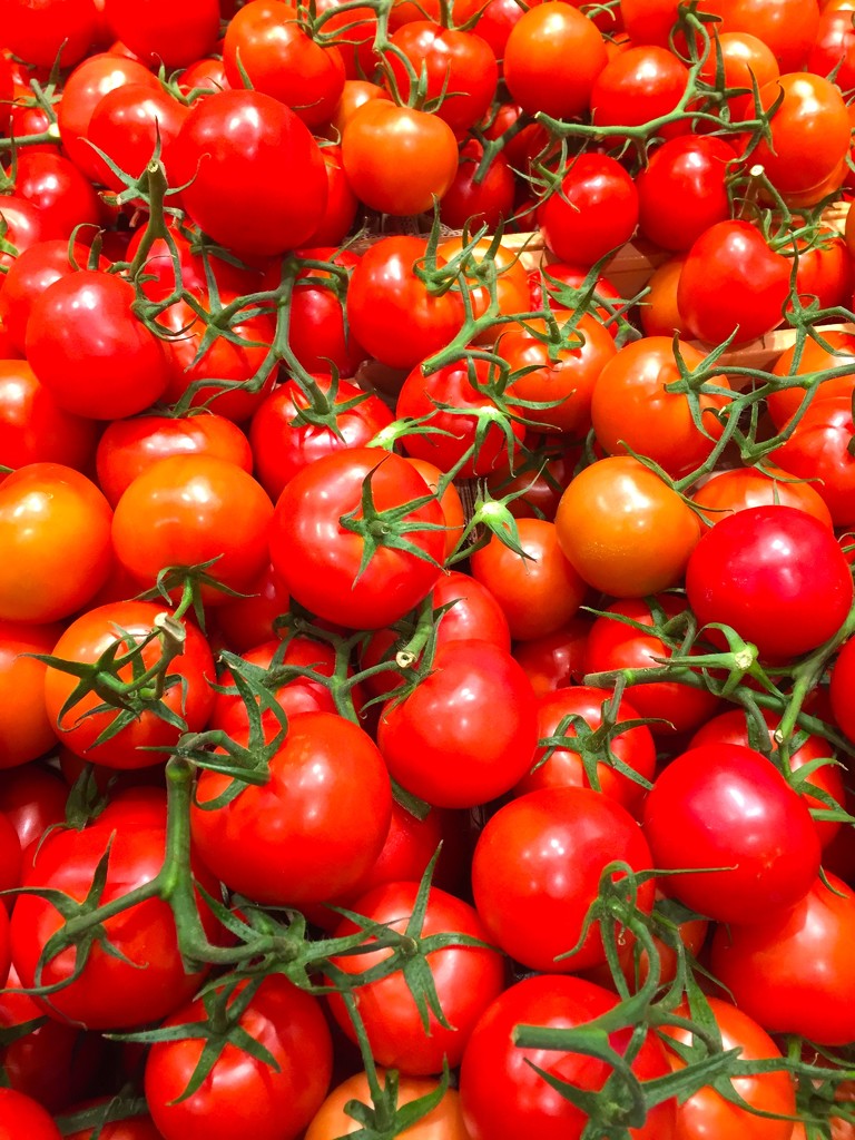 Tomatoes by kjarn