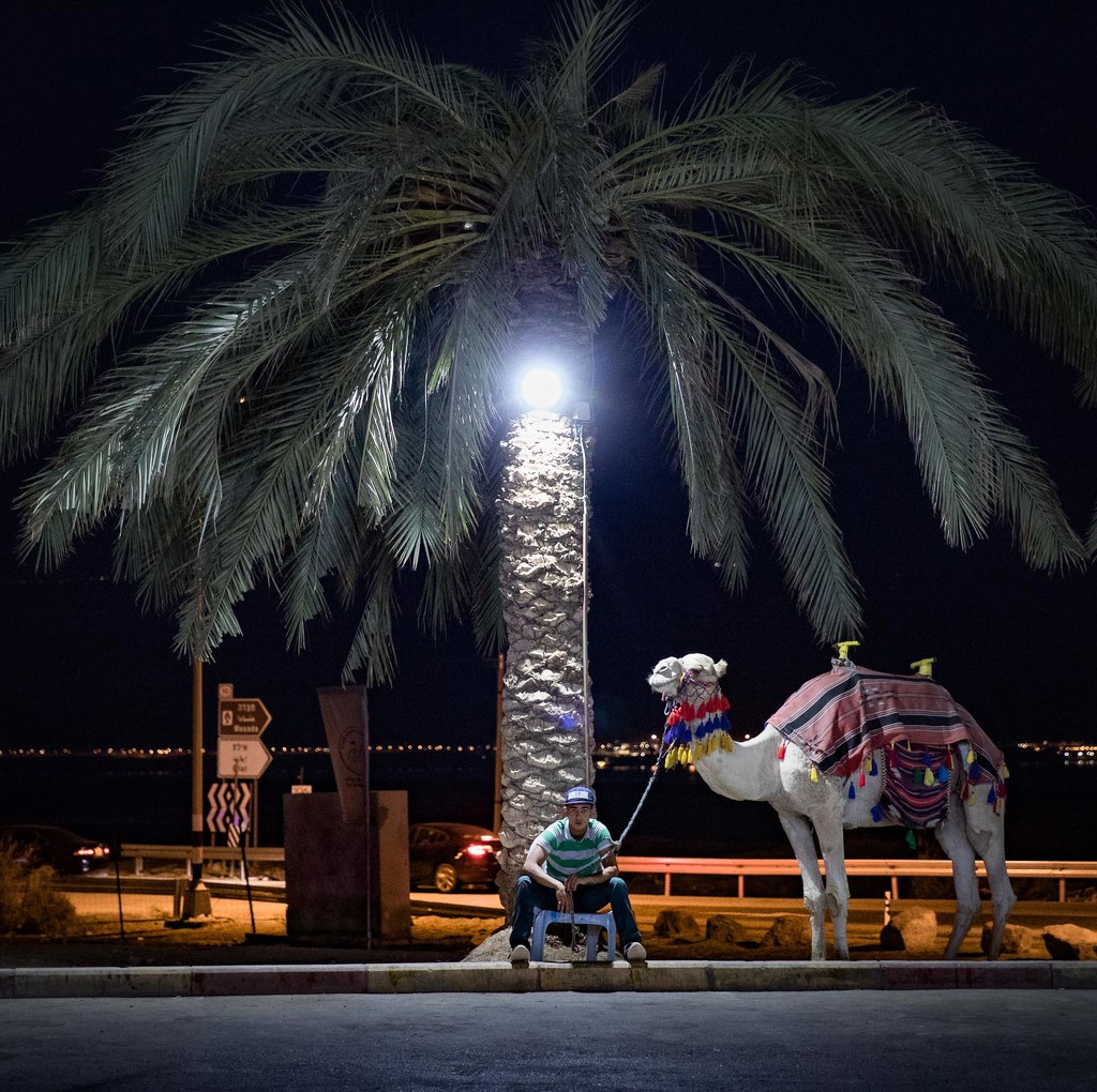 How about a camel ride?   by jyokota
