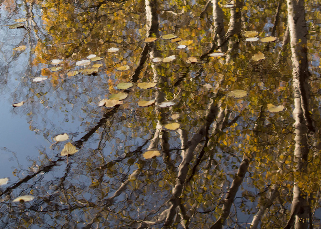 Autumnal reflection by cherrymartina