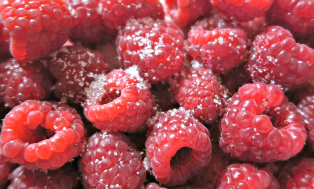 Raspberries For Tea. by wendyfrost