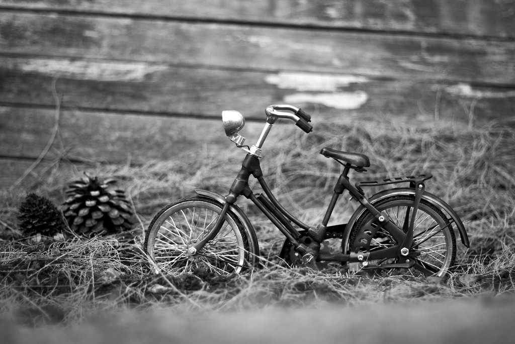 Garden Bike by browngirl