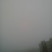 The fog is back by ivm